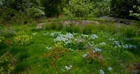 Bronx Botanical Garden in spring