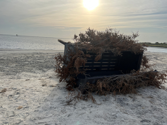 Duck blind washed up on Core Banks