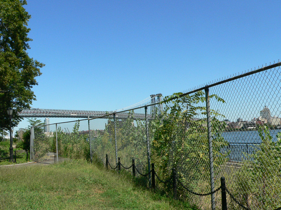 The chain link fence overgrown with weeds blocking the waterfront in 2008.