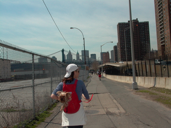 2004 at the Southern end of East River Park. It's still chain link