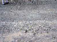 Mexico 2007