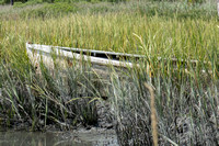 Marsh at low tide