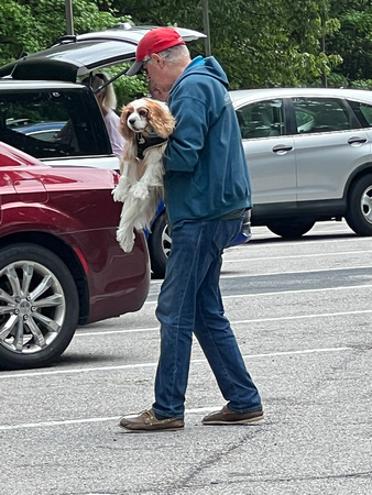 Old man carries old dog