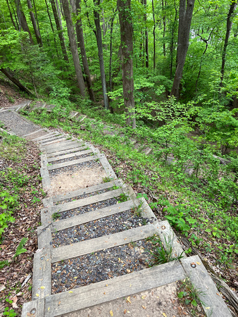 Stairway to the beach, originally built by the CCC.